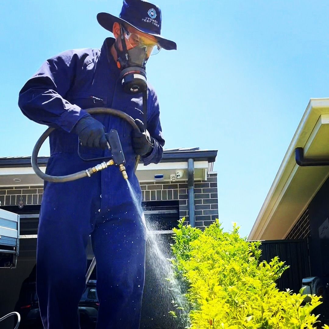 ALCARAZ PEST CONTROL LLC